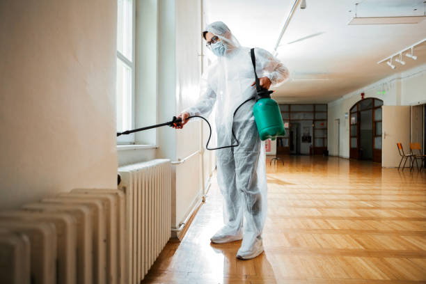 Best Pest Exclusion Services  in Hillsboro, MO